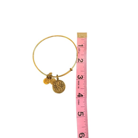 Alex And Ani Path of Life Energy Bangle Bracelet Rafaelian Gold Tone - Picture 3 of 6